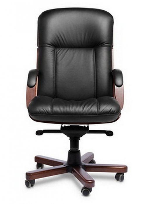 Кресло руководителя &laquo;CANNES A&raquo; - вид 2